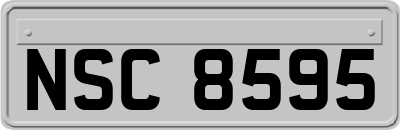 NSC8595