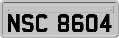 NSC8604