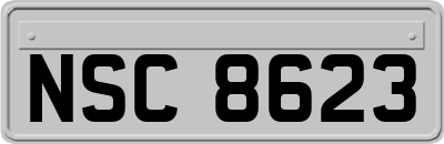 NSC8623