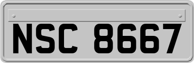 NSC8667