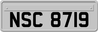 NSC8719