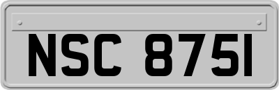 NSC8751