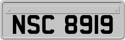 NSC8919