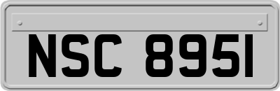 NSC8951