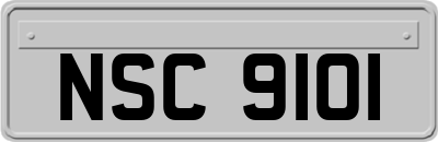 NSC9101