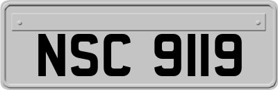 NSC9119