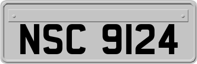 NSC9124