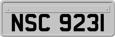 NSC9231