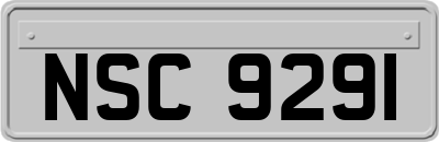 NSC9291