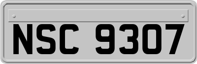 NSC9307