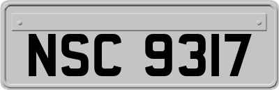 NSC9317