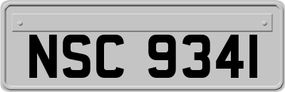 NSC9341