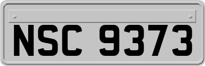 NSC9373