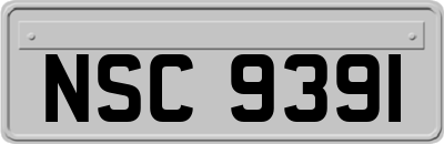 NSC9391