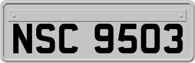 NSC9503