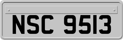 NSC9513