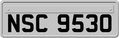 NSC9530