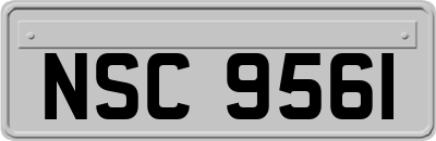 NSC9561