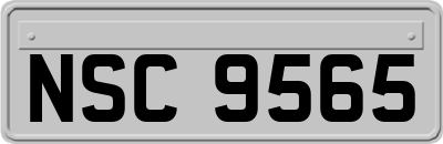 NSC9565