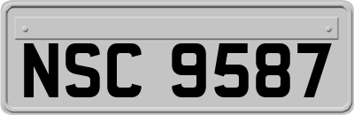 NSC9587