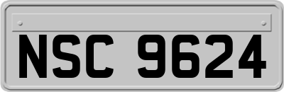 NSC9624