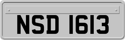 NSD1613