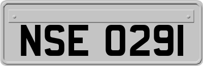 NSE0291