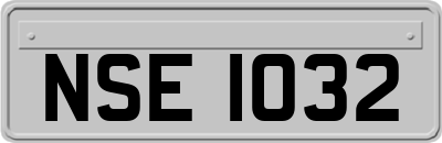 NSE1032