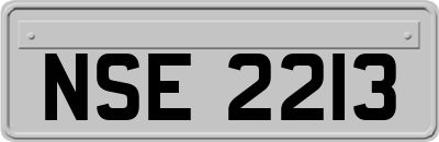 NSE2213