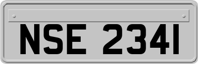 NSE2341