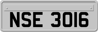 NSE3016