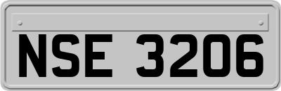 NSE3206