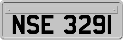 NSE3291