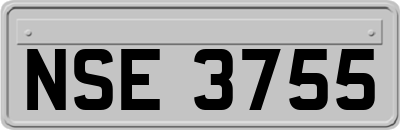 NSE3755