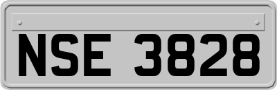 NSE3828
