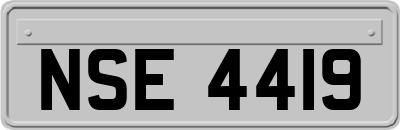 NSE4419