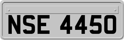 NSE4450