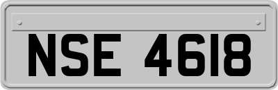 NSE4618