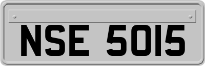 NSE5015