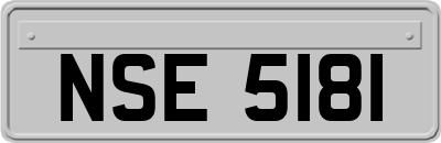 NSE5181