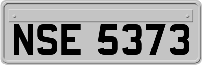 NSE5373