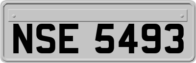 NSE5493