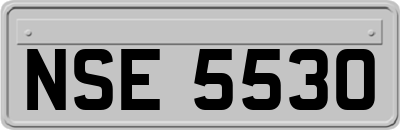 NSE5530