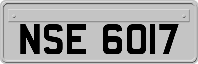 NSE6017