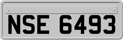 NSE6493