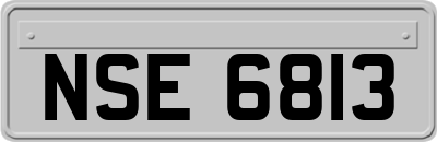 NSE6813