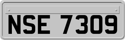 NSE7309
