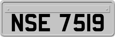 NSE7519