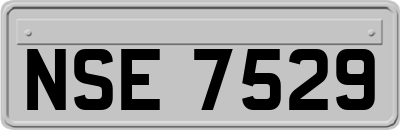 NSE7529