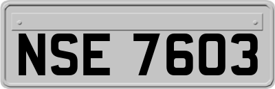 NSE7603